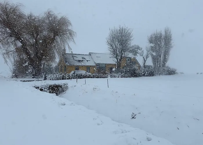 De Danser 4* Klaaswaal